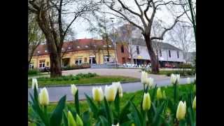 preview picture of video 'Gyönyörű tavaszunk'