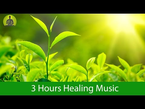 Deep Healing Music for The Body & Soul - Relaxation Music, Meditation Music
