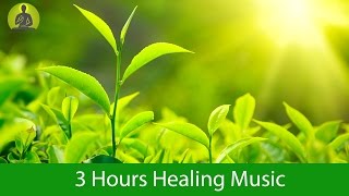 Deep Healing Music for The Body & Soul - Relaxation Music, Meditation Music