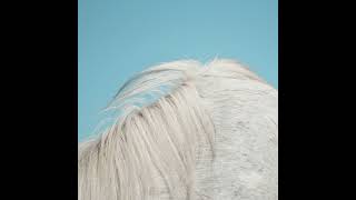 Widowspeak - Coke Bottle Green