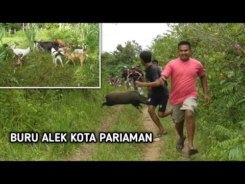 RAGE ⁉️ A Little Late Becomes K0RB4N || HUNTING ALEK, PARIAMAN CITY