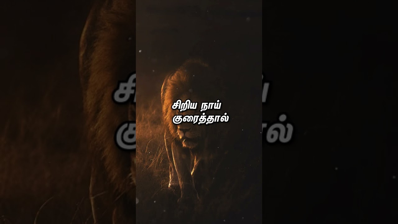 Watch video powerful Motivational Quotes in Tamil #shorts #quotesOgram Now powerful Motivational Quotes in Tamil #shorts #quotesOgram