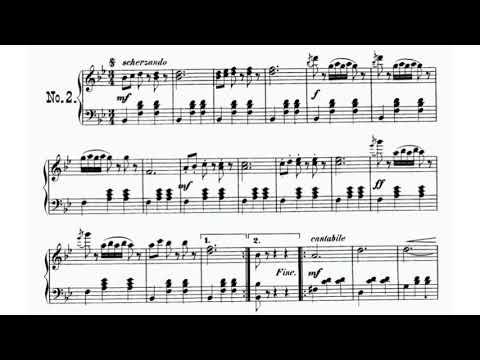 Emile Waldteufel - Pluie de diamants Op. 160 (audio + sheet music)