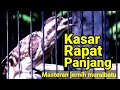 Pelatuk Sampit Beras Full Nembak Rapat Dan Panjang