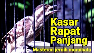 Download lagu 🔴 Pelatuk sampit beras full nembak rapat dan panjang ‼ mp3