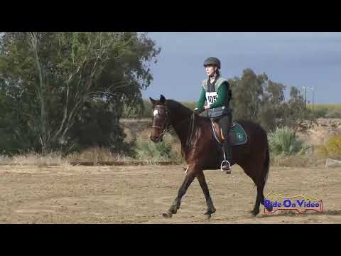 105XC Madeline Rumer on Whiskey A Go Go Beginner Novice Rider Cross Country Ram Tap Nov. 2023