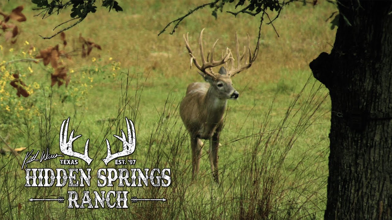 Texas Hidden Springs Ranch