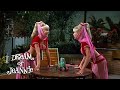 Jeannie Fights Her Sister I Dream Of Jeannie