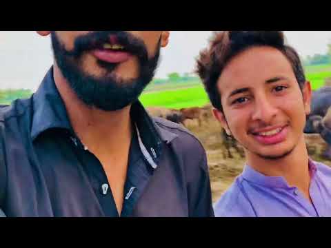 Very funny video 🫣adopted dog 🐶 gufran wattoo 😂#subscribers #mychannel #vlogs #funnyvideo