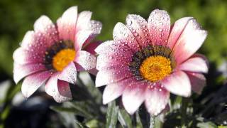 Zero 7 - Truth &amp; Rights