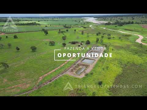Fazenda a Venda em Carneirinho - MG - Beira Rio Paranaiba - Triangulo Mineiro - Minas Gerais