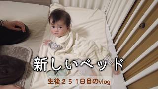 生後251日目 新しいベッド｜里帰りなし,1LDK,完母育児,生後7ヶ月,vlog