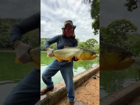 Pescaria de Dourado🎣 - Será que valeu a viagem?