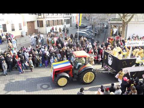43. Lindwurm durch Ober-Ingelheim am 15.02.2015