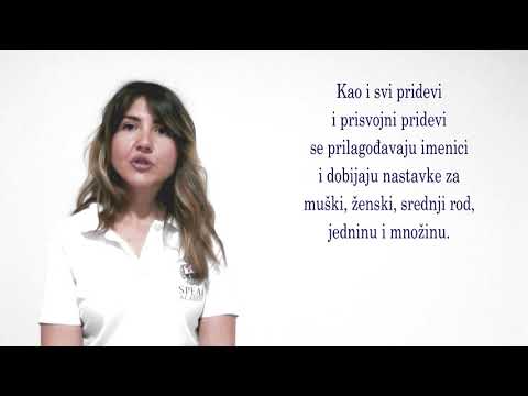 Lesson 11.3 Serbian language - Possessive adjectives