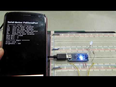 Fay Serial Terminal Video