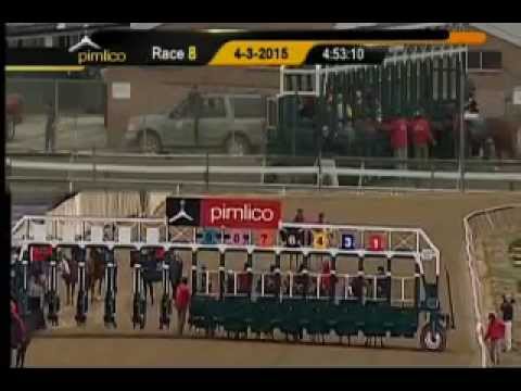Pimlico 04/03/15 race 8