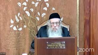 הרה"ג הרב וועכטר שליט"א כ"ה תמוז תשפ"ד - דרך מצוותיך מצוות אהבה חלק א (הרב אברהם מנחם מענדל וכטר) - התמונה מוצגת ישירות מתוך אתר האינטרנט יוטיוב. זכויות היוצרים בתמונה שייכות ליוצרה. קישור קרדיט למקור התוכן נמצא בתוך דף הסרטון