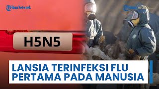 Lansia Pertama di Dunia Terjangkit Virus Flu Burung yang Belum Pernah Ditemukan pada Manusia