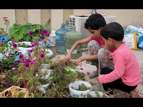 Alphonsa & Anthony's Terrace Veg Farm