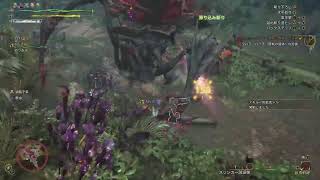 モンハンワイルズ　クエスト消化