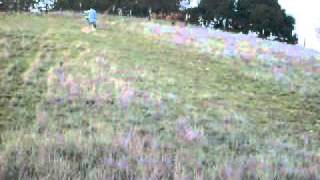 marco muzinich skirting on the d-bike