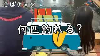 【チャレンジ】釣り堀で何匹釣れる？時間は２時間だ！
