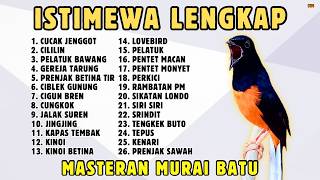 Download lagu 🔴 MASTERAN PANJANG‼️ FULL ISIAN MURAI BATU GACOR mp3 Download lagu 🔴 MASTERAN PANJANG‼️ FULL ISIAN MURAI BATU GACOR mp3