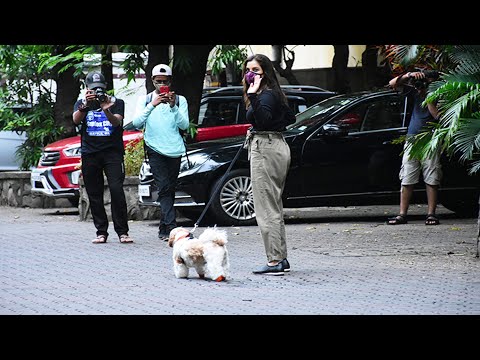 Sophie Chaudhary दिखाई दि अपने Pet Dog के साथ- Video
