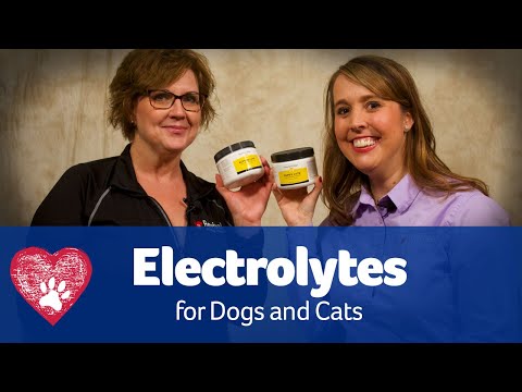 Electrolytes for Pets: Pet Care Pro Show