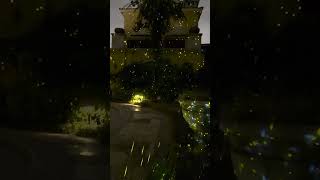 Wonderful and Magical Atmosphere with the Firefly Projector #fireflylight #AIRIVO #amazonfinds