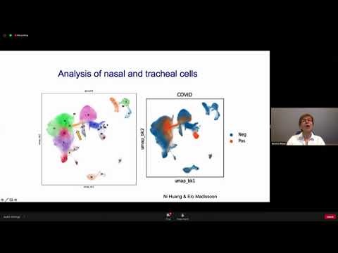 Human Cell Atlas 2020: Day 1, Session 3 -  HCA and COVID-19: Kerstin Meyer (Espanol version)