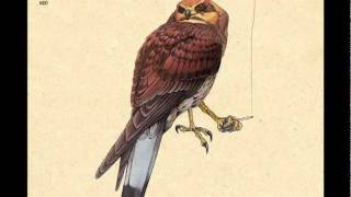 Brian Borcherdt - Means Of Escape