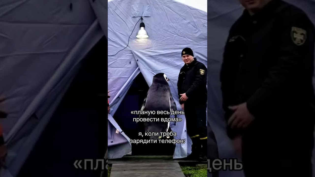 Де ви заряджаєте прилади? #блекаут #світло #відключеннясвітла