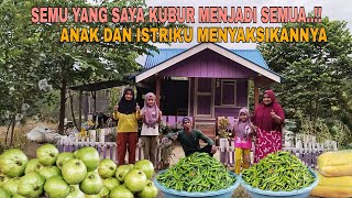 Download lagu SEMUA YANG SAYA KUBUR MENJADI SEMUA..!! ANAK DAN ISTRIKU SELALU MENYAKSIKANNYA mp3 Download lagu SEMUA YANG SAYA KUBUR MENJADI SEMUA..!! ANAK DAN ISTRIKU SELALU MENYAKSIKANNYA mp3