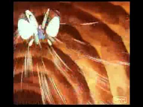 Team Rocket's first blast off