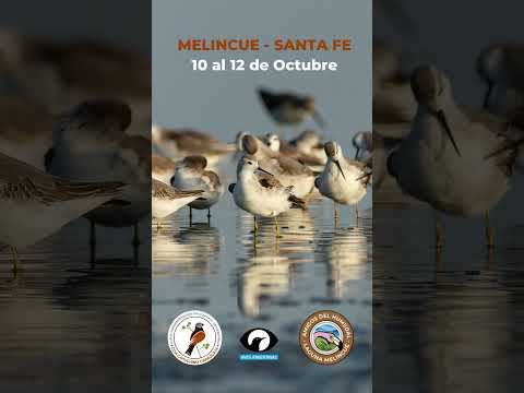 Invitación a Melincue