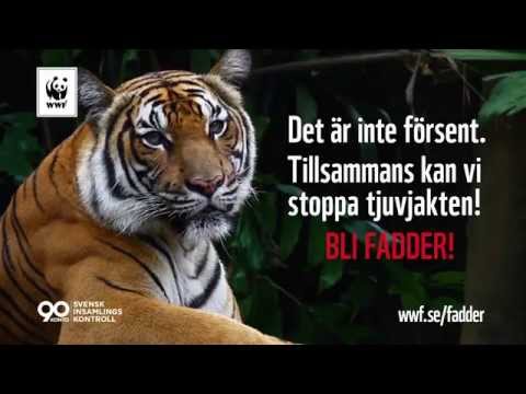 Kampen mot tjuvjakt fortsätter!