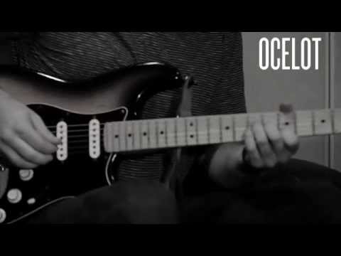 91X Loudspeaker: LIVE - Ocelot - 'Lullaby'