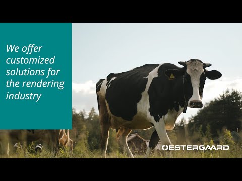 Corporate Oestergaard video