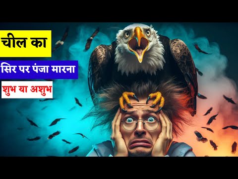 चील का सिर पर पंजा मारना क्या संकेत देता है शुभ या अशुभ | chil sar par panja marne se kya hota hai