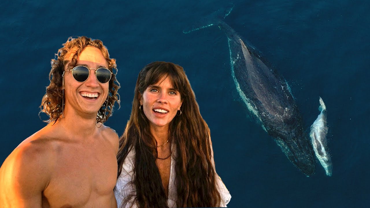 THE TWO BEST WHALE SAILS EVER: You won't believe it 'til you see it   ⛵️- Episode 31