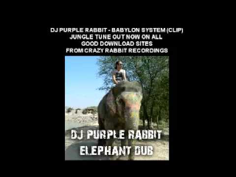 DJ Purple Rabbit - Babylon System, DnB out NOW on Beatport n Junodownload !