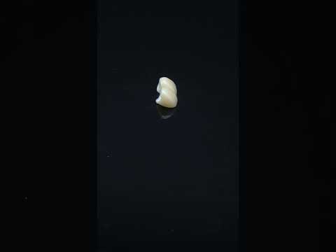 YouTube 썸네일