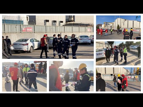 DİP’ten tersanelerde 1 Mayıs çağrısı: Bayram coşkusu ve düzene öfke bir arada!