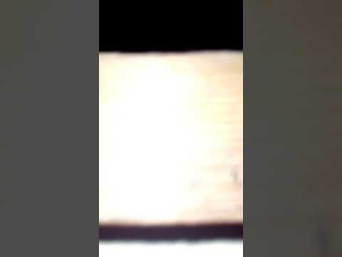 22 июля 2017 г.