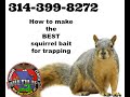 How to make the BEST squirrel bait for trapping