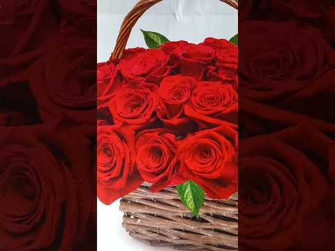 Warwick Deeping-Sorrell și fiul.Cap.28.2.