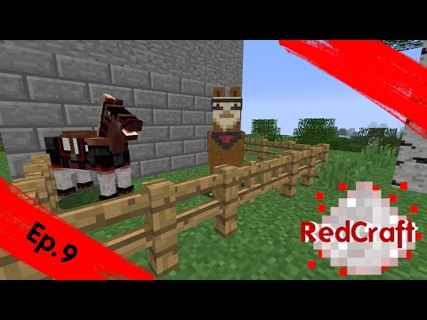 RedCraft Ep.9 Say hellow to Bima.