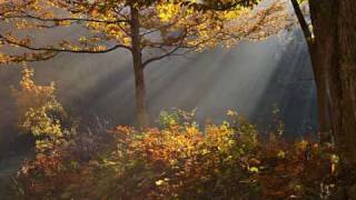 Musikman - Eden (Original mix)